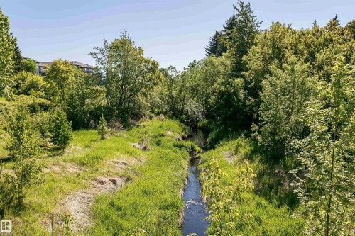 16 Willow Park Estates, Leduc, AB - Outdoor With View