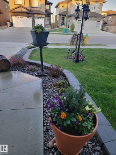 The property features a well-maintained front yard with a lush green lawn, decorative planters with colorful flowers, and a paved walkway - 4 Lakeshore Cove, Beaumont, AB 