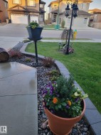 The property features a well-maintained front yard with a lush green lawn, decorative planters with colorful flowers, and a paved walkway - 