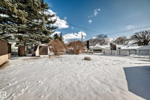 The property features an expansive yard with visible snow cover, mature evergreen trees, and a storage shed - 4237 116 Avenue, Edmonton, AB - Outdoor