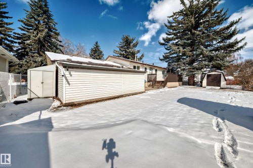 The property features a spacious yard with snow cover, mature evergreen trees, and a detached garage with white siding - 4237 116 Avenue, Edmonton, AB - Outdoor