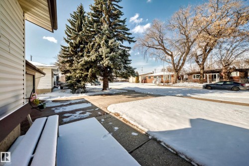 The property features a concrete patio and a front yard with a large evergreen tree - 4237 116 Avenue, Edmonton, AB - Outdoor