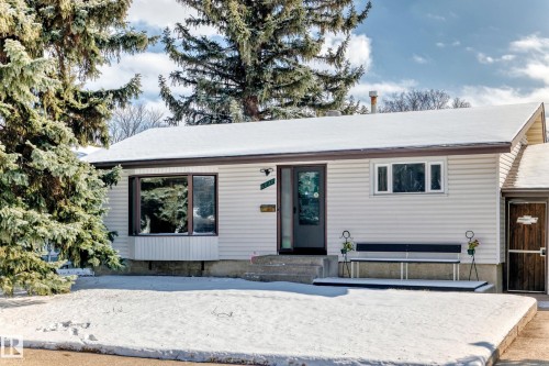The property features a front yard with mature evergreen trees and a path leading to the front entrance - 4237 116 Avenue, Edmonton, AB - Outdoor