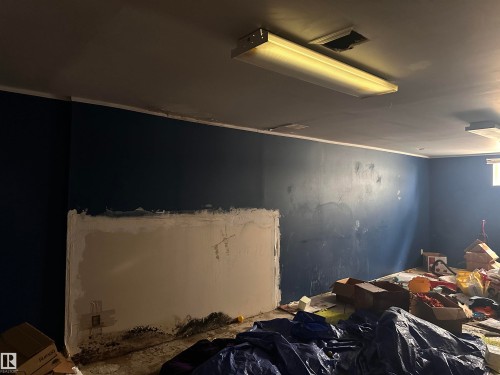 The property features a room with dark blue walls, a white ceiling, and fluorescent lighting fixtures - 9724 102 Avenue, Westlock, AB - Indoor