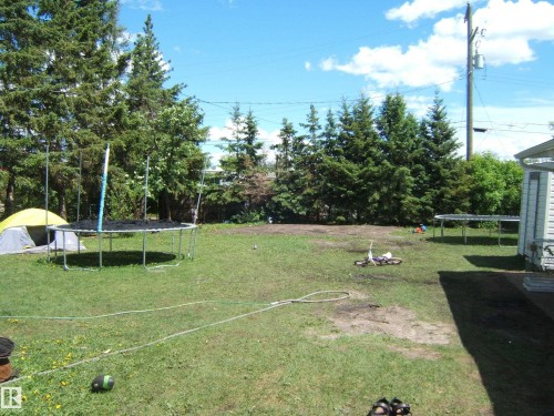 Expansive backyard featuring a large grassy area, mature evergreen trees bordering the property, and a section of siding on the right - 5023 50 Street, Two Hills, AB - Outdoor