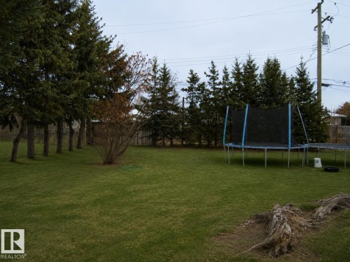Expansive grassy yard featuring a line of mature evergreen trees, a single deciduous shrub, and a partial wooden fence - 5023 50 Street, Two Hills, AB - Outdoor