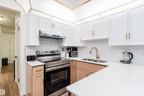 4424 33 Street, Edmonton, AB - Indoor Photo Showing Kitchen With Double Sink