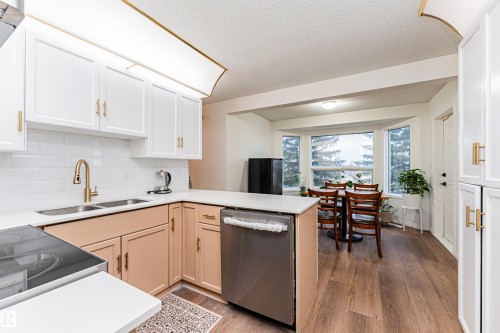 4424 33 Street, Edmonton, AB - Indoor Photo Showing Kitchen With Double Sink