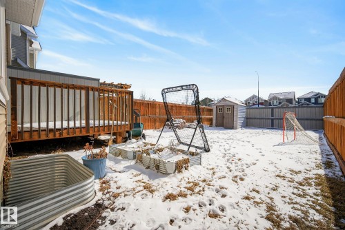 The property features a wooden deck, a fenced yard, and a storage shed - 8225 24 Avenue, Edmonton, AB - Outdoor
