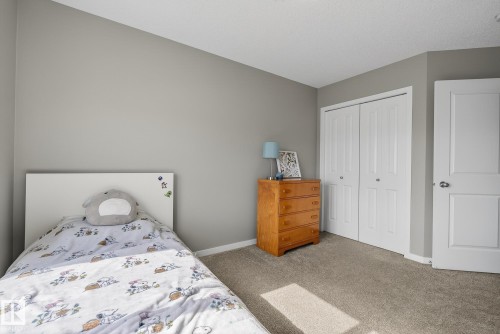 The room features light gray walls, a light gray carpet, and white trim - 8225 24 Avenue, Edmonton, AB - Indoor Photo Showing Bedroom