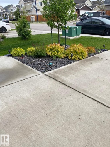 The property features a well-maintained lawn, a garden bed with decorative dark stones, and mature shrubs and trees - 8225 24 Avenue, Edmonton, AB - Outdoor