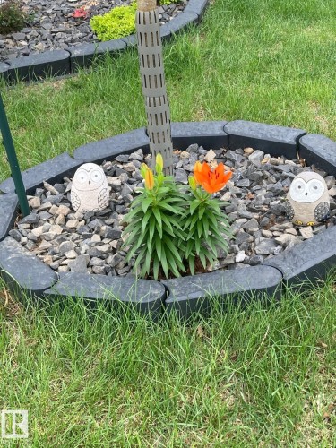 The property features a landscaped garden area with a hexagonal border, filled with decorative stones, and vibrant orange flowers - 8225 24 Avenue, Edmonton, AB - Outdoor