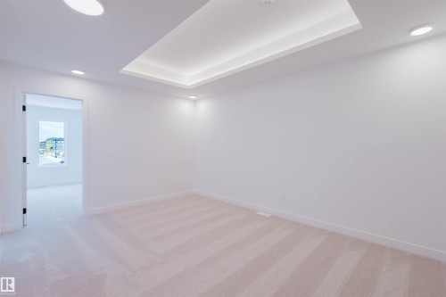 4116 208 Street, Edmonton, AB - Indoor Photo Showing Other Room
