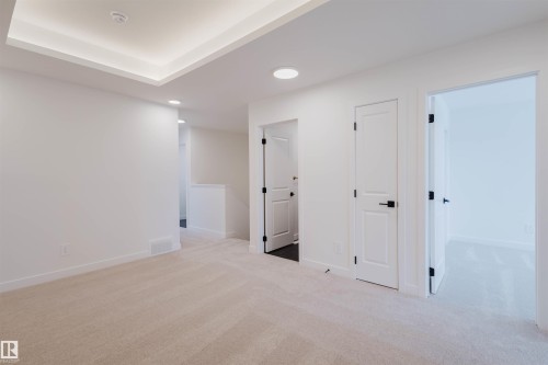 4116 208 Street, Edmonton, AB - Indoor Photo Showing Other Room