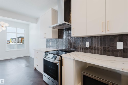 4116 208 Street, Edmonton, AB - Indoor Photo Showing Kitchen With Upgraded Kitchen