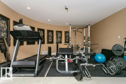11 Wellington Crescent, Edmonton, AB - Indoor Photo Showing Gym Room