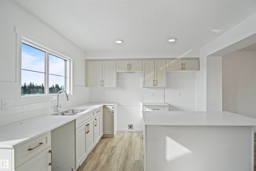 4205 Kinglet Drive, Edmonton, AB - Indoor Photo Showing Kitchen With Double Sink