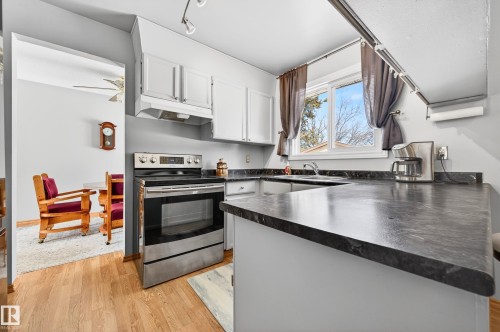 4112 30 Avenue, Edmonton, AB - Indoor Photo Showing Kitchen With Double Sink