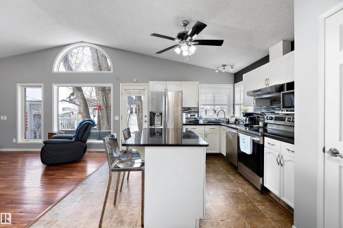 3706 131A Avenue, Edmonton, AB - Indoor Photo Showing Kitchen With Stainless Steel Kitchen With Upgraded Kitchen