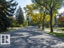 Tree-lined street with mature trees and sidewalks - 14631 Summit Drive, Edmonton, AB  - Outdoor With View 
