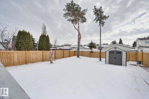 The property features a spacious yard with a new wooden fence, two mature trees, and a storage shed - 8507 152B Avenue, Edmonton, AB - Outdoor
