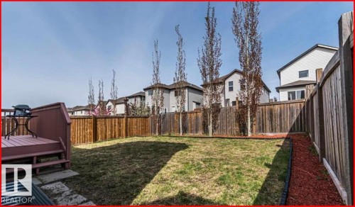 Expansive backyard featuring a brown wooden deck with steps, a manicured lawn, a wooden privacy fence, mature trees, and a landscaped perimeter with red mulch - 1121 59A Street, Edmonton, AB - Outdoor