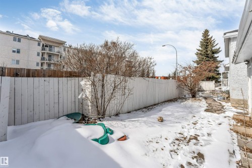 The property includes a fenced yard with a pathway, visible landscaping, and a mature evergreen tree - 10865 21 Ave, Edmonton, AB - Outdoor