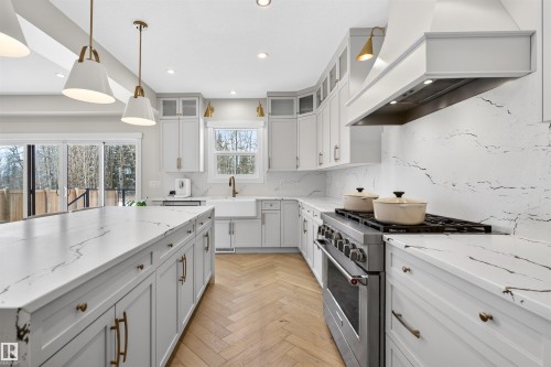 20320 29 Avenue Nw, Edmonton, AB - Indoor Photo Showing Kitchen With Upgraded Kitchen