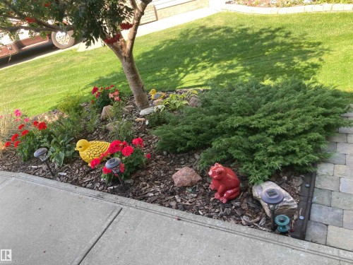 5 Richelieu Place, Beaumont, AB - Outdoor