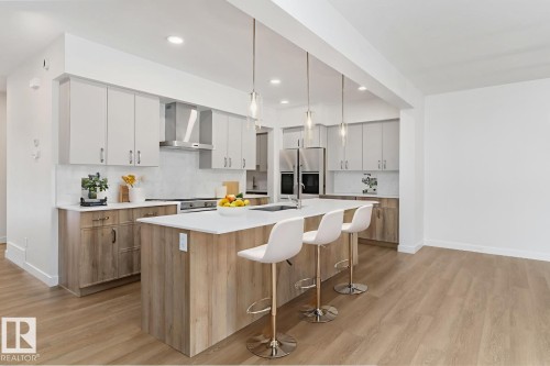 2728 194 Street, Edmonton, AB - Indoor Photo Showing Kitchen With Upgraded Kitchen