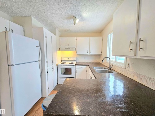 10029 173 Avenue, Edmonton, AB - Indoor Photo Showing Kitchen With Double Sink