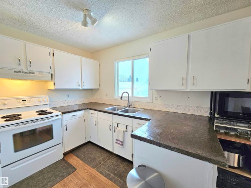 10029 173 Avenue, Edmonton, AB - Indoor Photo Showing Kitchen With Double Sink