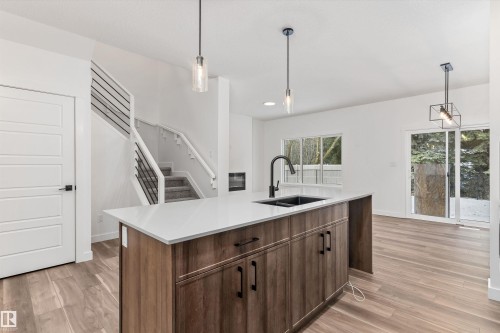 4236 208 Street, Edmonton, AB - Indoor Photo Showing Kitchen With Double Sink