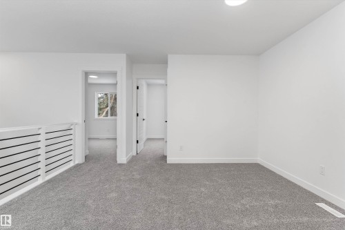 4236 208 Street, Edmonton, AB - Indoor Photo Showing Other Room