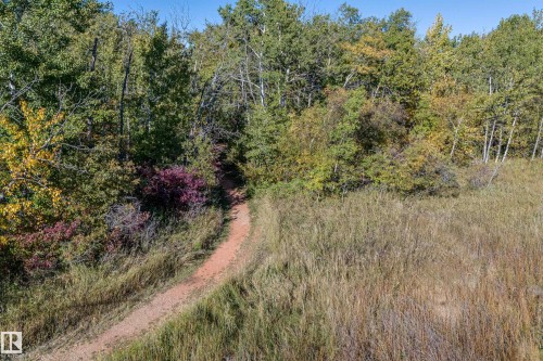 602 Pheasant Close, Rural Camrose County, AB - Outdoor With View