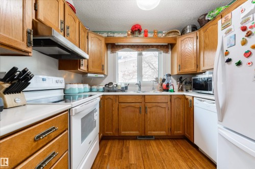 10840 25 Avenue, Edmonton, AB - Indoor Photo Showing Kitchen With Double Sink