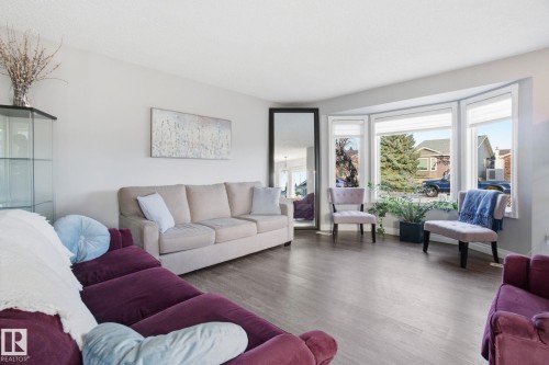 373 Kline Crescent, Edmonton, AB - Indoor Photo Showing Living Room