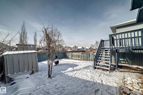 The property features an extensive yard with a privacy fence, a storage shed, and a deck with stairs providing outdoor access - 1911 36 Avenue, Edmonton, AB - Outdoor