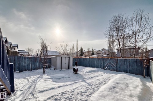 The property features a fenced yard with a storage shed and bare trees - 1911 36 Avenue, Edmonton, AB - Outdoor