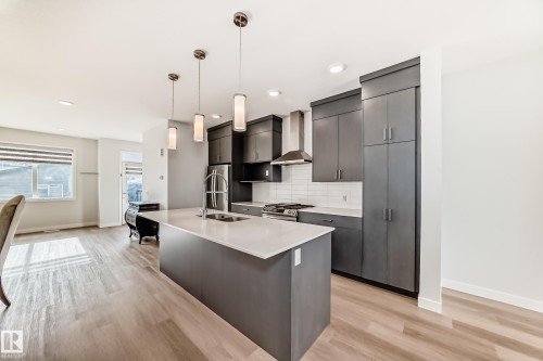 4005 Hawthorn Link Link, Edmonton, AB - Indoor Photo Showing Kitchen With Double Sink With Upgraded Kitchen
