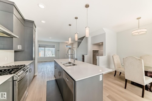 4005 Hawthorn Link Link, Edmonton, AB - Indoor Photo Showing Kitchen With Double Sink With Upgraded Kitchen
