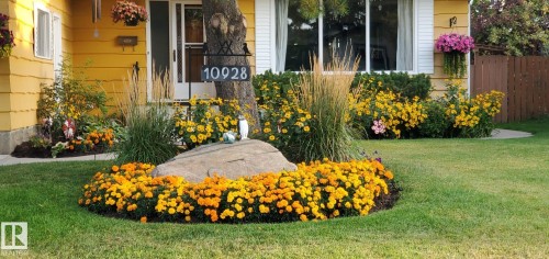 10928 36A Avenue, Edmonton, AB - Outdoor