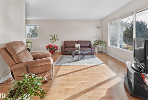 10928 36A Avenue, Edmonton, AB - Indoor Photo Showing Living Room