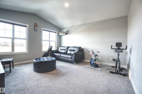 This spacious room features vaulted ceilings, light grey walls, and light grey carpet - 20503 99 Avenue, Edmonton, AB - Indoor