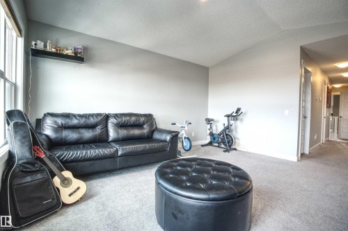 The room features a carpeted floor, light gray walls, and a window with white trim - 20503 99 Avenue, Edmonton, AB - Indoor Photo Showing Living Room