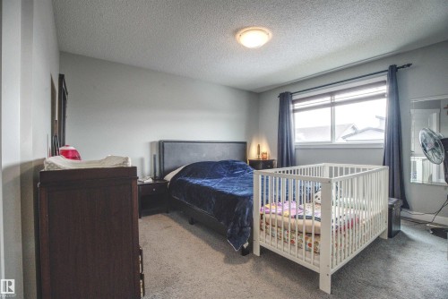 This room features light grey walls and grey carpet flooring - 20503 99 Avenue, Edmonton, AB - Indoor Photo Showing Bedroom