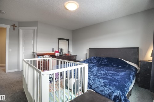 The bedroom features light gray walls, gray carpeting, a white paneled door, and a ceiling light fixture - 20503 99 Avenue, Edmonton, AB - Indoor Photo Showing Bedroom