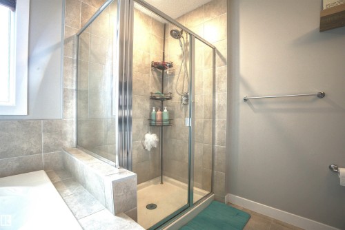 Bathroom with a glass-enclosed shower featuring tiled walls and a built-in shelf - 20503 99 Avenue, Edmonton, AB - Indoor Photo Showing Bathroom