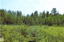 Rge Rd 13 Twnship Rd 55 Rural Lac Ste. Anne County, AB T0E 0J0