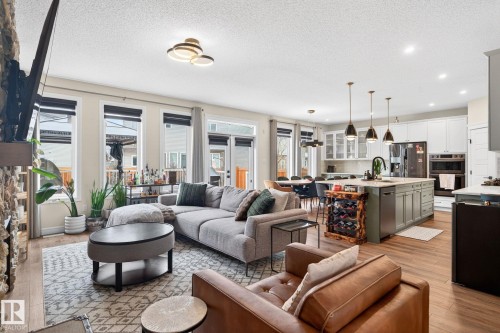 924 173 Street, Edmonton, AB - Indoor Photo Showing Living Room